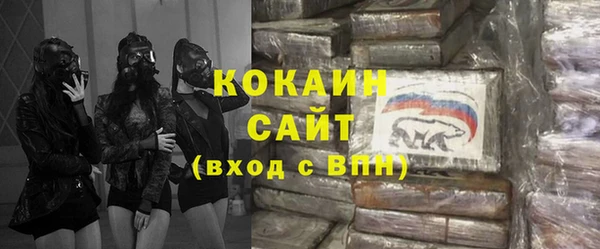 шишки Бородино