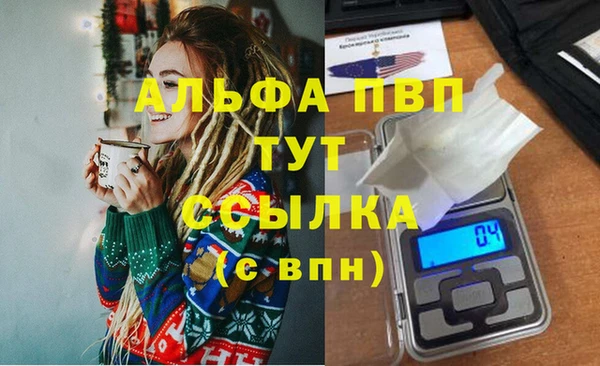 сатива Бронницы