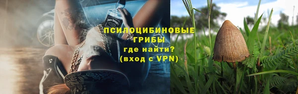 сатива Бронницы