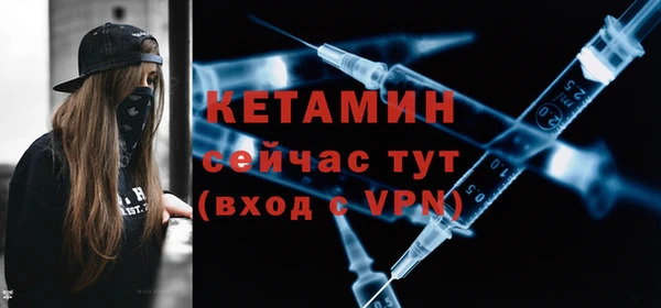 шишки Бородино