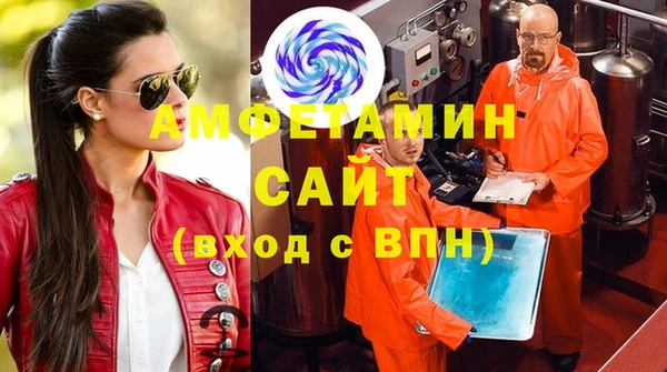 шишки Бородино