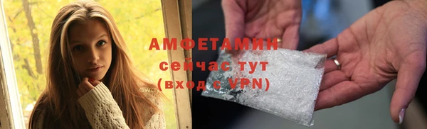 сатива Бронницы