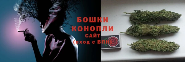 сатива Бронницы