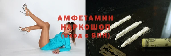 шишки Бородино