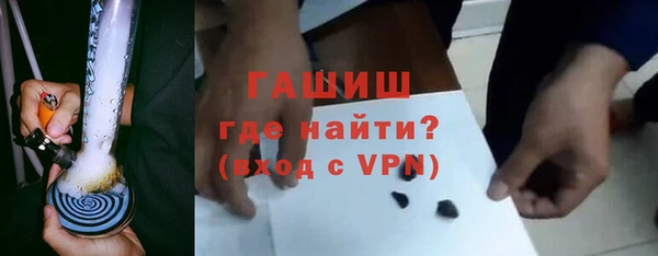 шишки Бородино