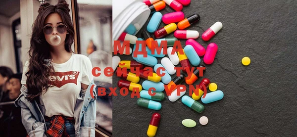шишки Бородино