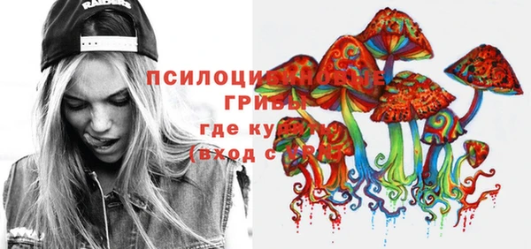 шишки Бородино