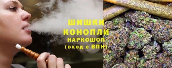 шишки Бородино