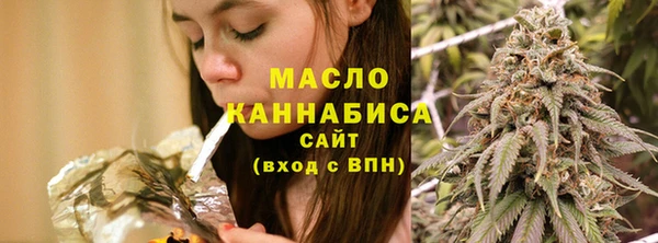 шишки Бородино