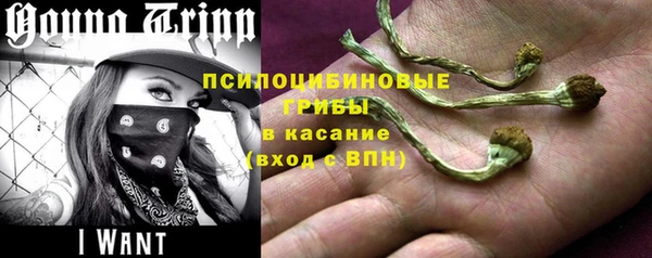шишки Бородино