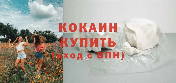 шишки Бородино