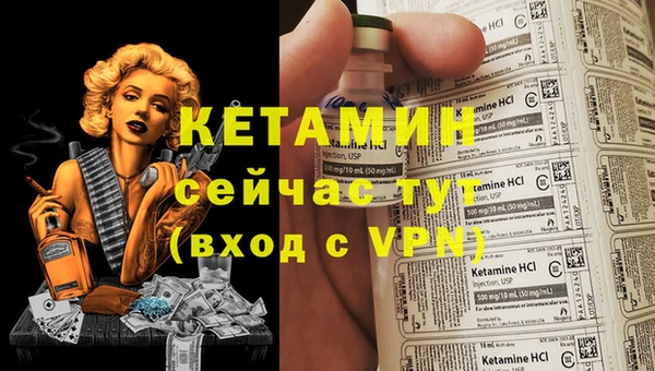 сатива Бронницы