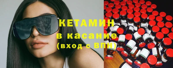шишки Бородино